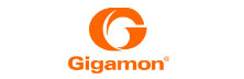 Gigamon